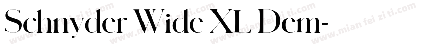 Schnyder Wide XL Dem字体转换